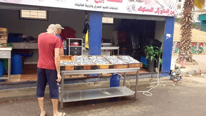 عشاق السمك "الأزرق" يستحسنون الأسعار التنافسية