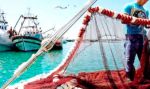 تركيز على آليات التمويل والاستثمار