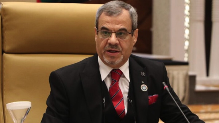الانضمام لـ"زليكاف" يتيح مزايا كثيرة للاقتصاد الوطني