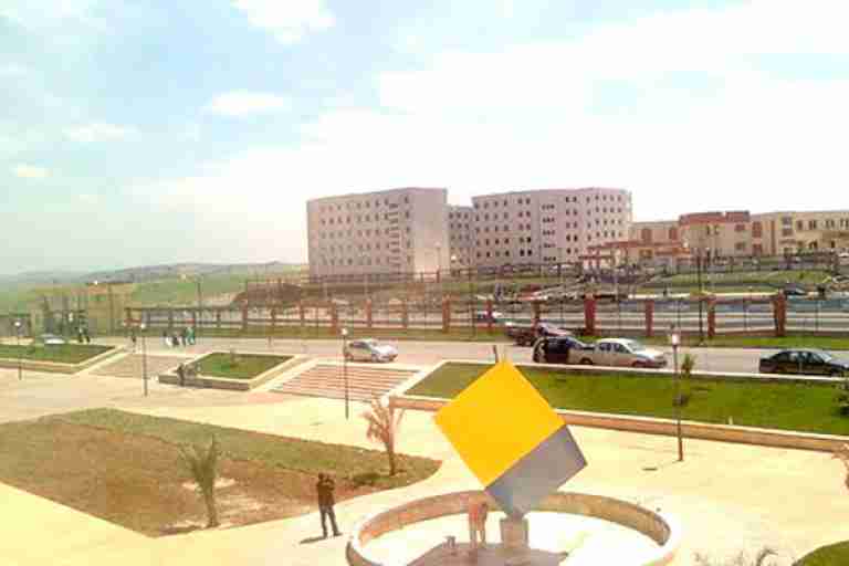 فتح 29 منصب ما بعد التدرج في شهادة الدكتوراه