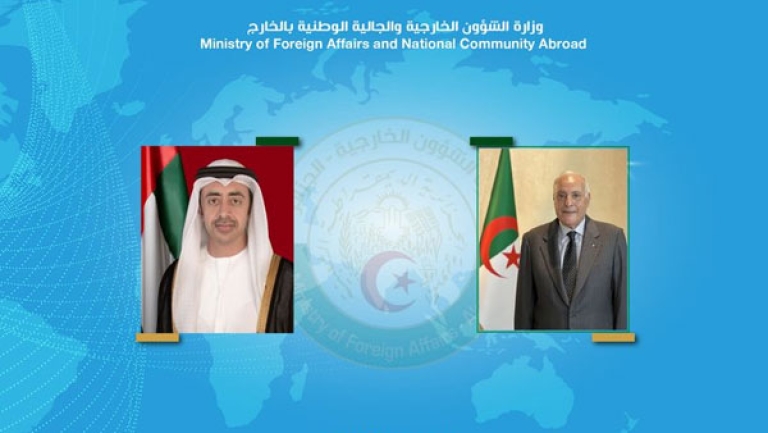 وزير خارجية الإمارات يهنئ الجزائر بعضويتها في مجلس الأمن