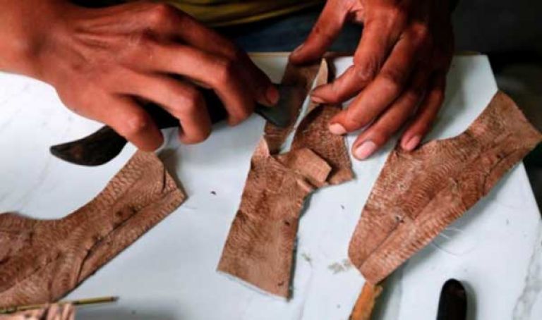 إندونيسي ينتج أحذية من جلد الدجاج