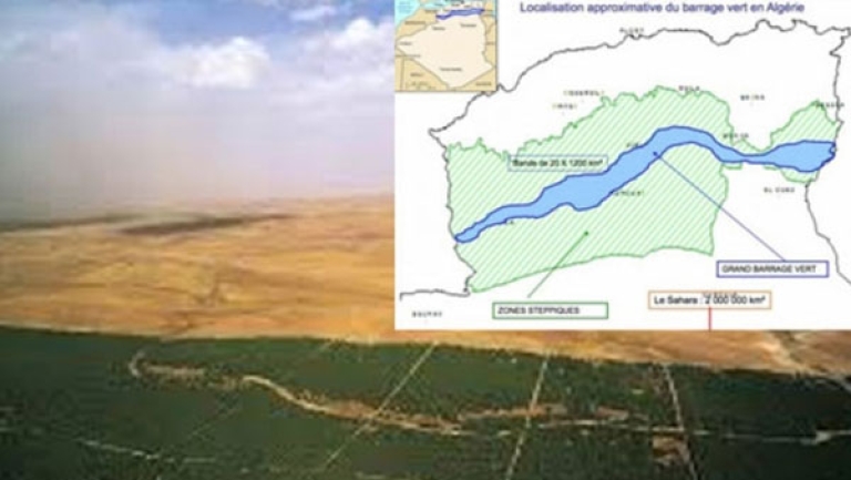 إشادة واسعة بقرارات رئيس الجمهورية