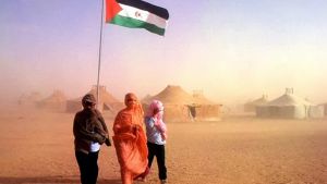 نداءات أوروبية لمضاعفة جهود مرافقة الشعب الصحراوي