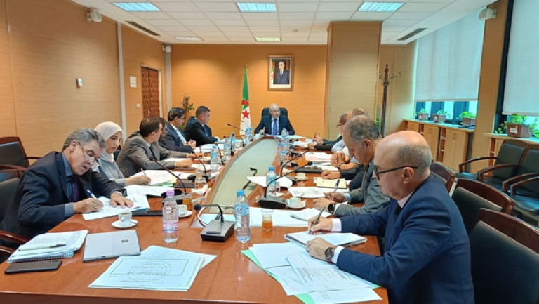 مرافقة المستوردين وضمان تسويق اللحوم بأسعار معقولة