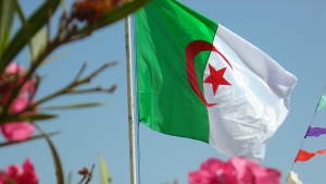 التعديل الدستوري يرشِّح الجزائر للصنف &quot;أ&quot;