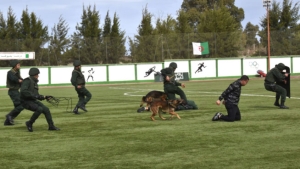 6 فرق تتنافس على لقب الطبعة الأولى