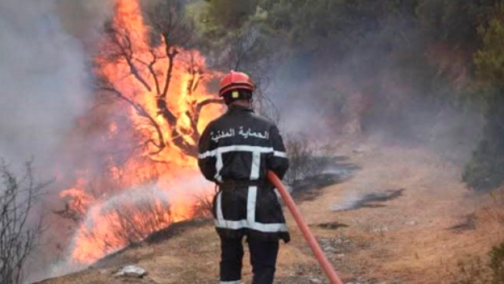 فرق الحماية المدنية تواصل عملية إخماد الحرائق