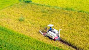 مجمع “سيم” يمضي اتفاقية مع الفلاحين