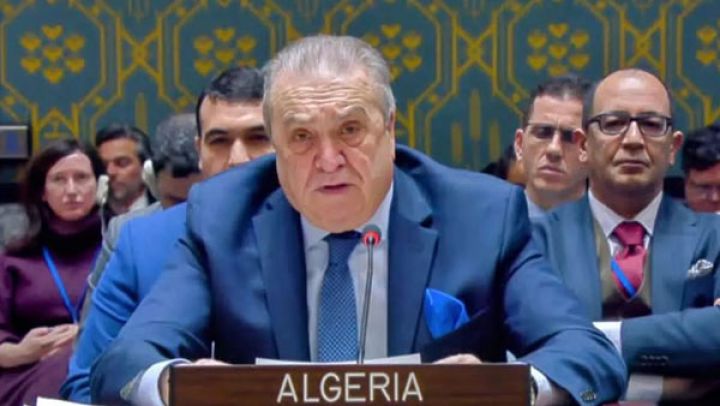 الجزائر تضع خبرتها تحت تصرّف الدول الإفريقية