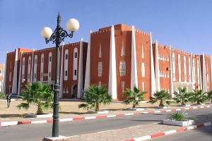 المطالبة بالكشف عن 8 آلاف قطعة أرضية