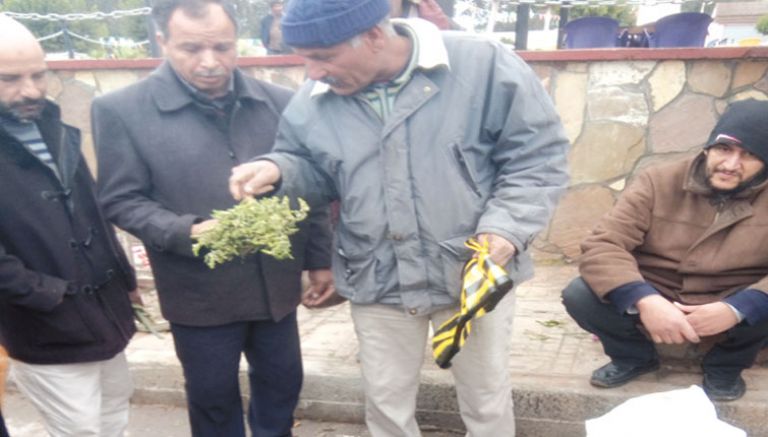 صيدلية الغابات حاضرة بقوة ببوحجار