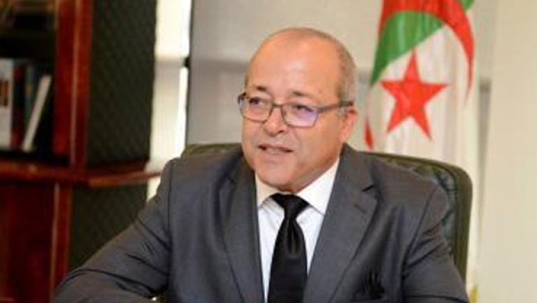 بوراوي كانت تطبق أجندة قوى أجنبية معروفة.. وهروبها أسقط أقنعة الصحافة الفرنسية