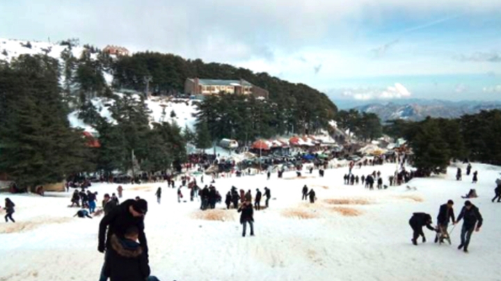 توافد كبير للزوار على مرتفعات الشريعة