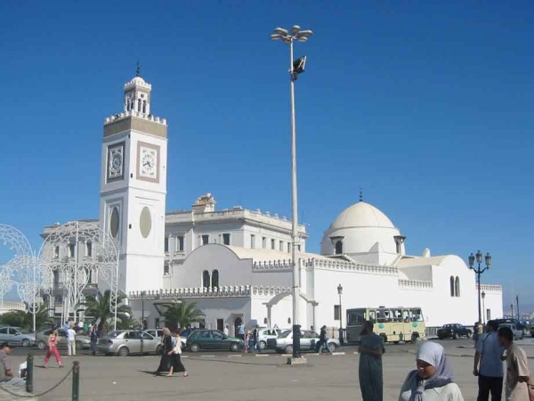 نشاطات مكثفة واهتمام خاص بتاريخ الجزائر