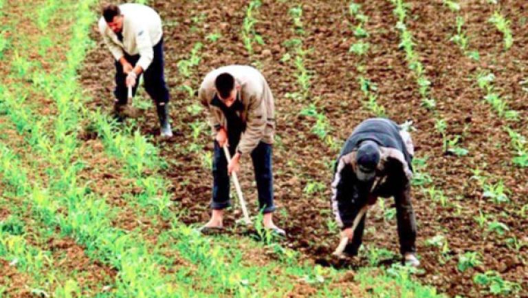 فلاحو حامة بوزيان يشتكون شح منبع “السخونة”
