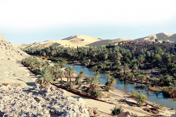 إنعاش السياحة بالجنوب