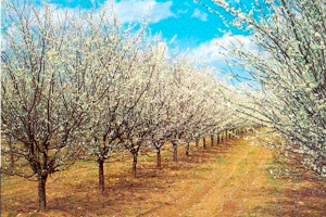 منطقة نشاطات لا تستوعب حجم الاستثمارات