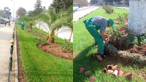 المساحات الخضراء بالعاصمة ترتفع بـ 70 هكتارا