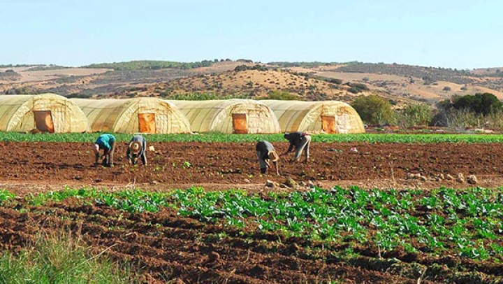 التزام بتسوية ملف العقار الفلاحي بوهران