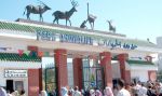 8 آلاف زائر يوميا في أسبوع