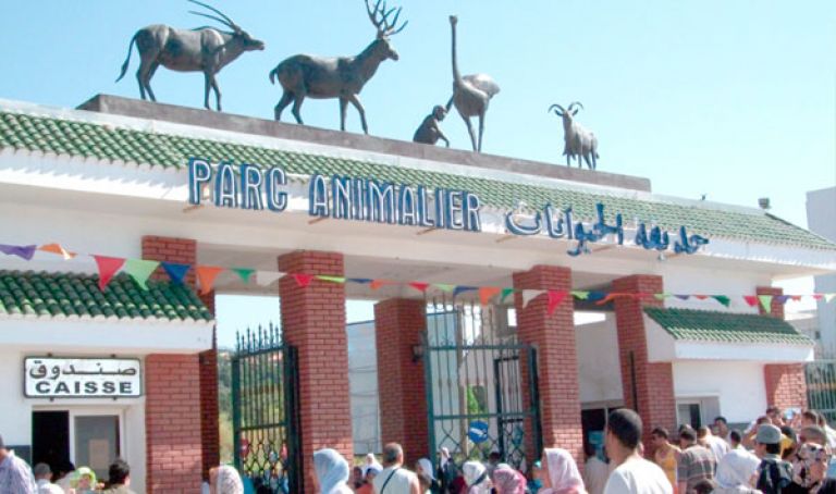8 آلاف زائر يوميا في أسبوع