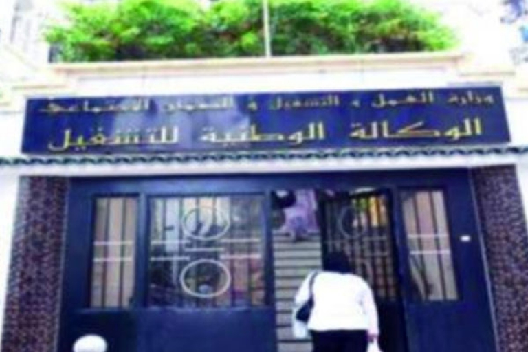 نسبة تلبية عروض العمل ترتفع بـ84%