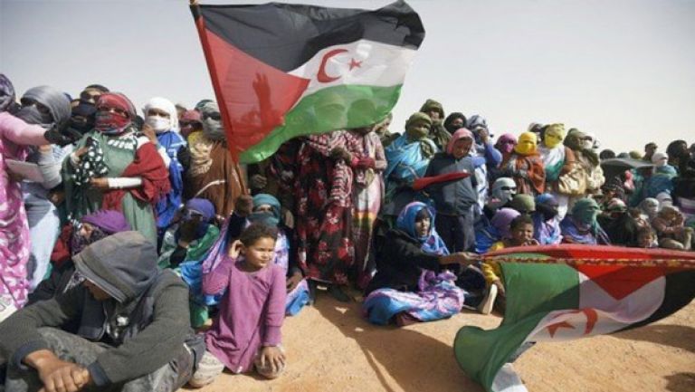 الهيئة الصحراوية لمناهضة الاحتلال المغربي تطالب بتقرير المصير