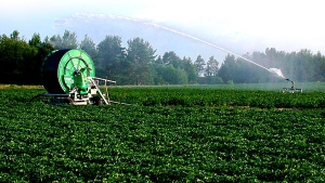 تشخيـص لواقـع