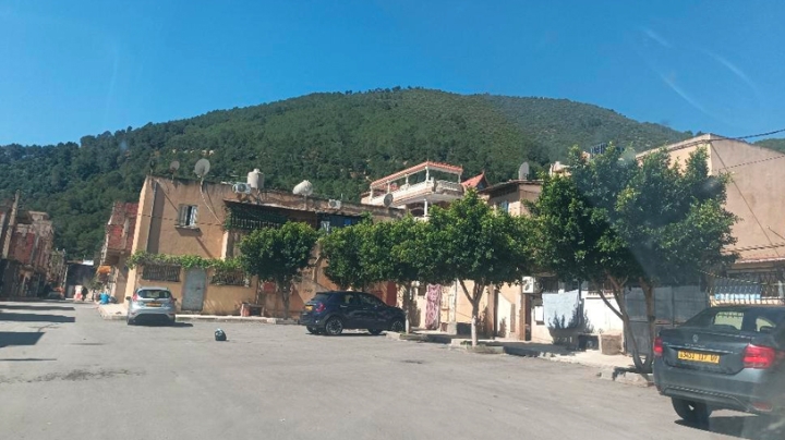 بوابة البليدة الغربية تشق طريقها نحو التنمية