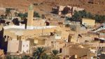 الجزائر كانت دوما منبعا لنشر الصوفية