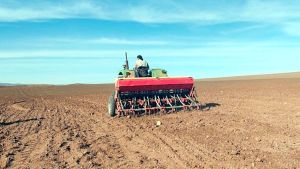 مؤشرات موسم فلاحي ناجح بكل المقاييس