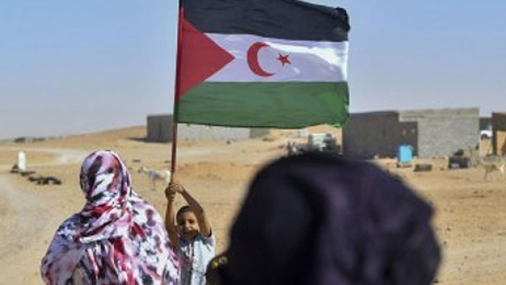 تنديد صحراوي باستمرار المخزن في ممارساته الإجرامية