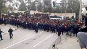 أنصار "الخضر" "يزحفون" من كل حدب وصوب