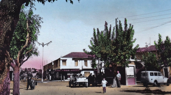 مدينـة العلمـة