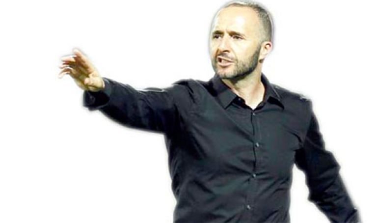 بلماضي ينفي تلقيه عرضا من "الفاف" وحليلوزيتش لن يدرب ”الخضر”