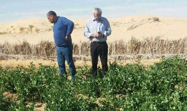 وفد أوروبي يطلع على فُرص الاستثمار بباتنة