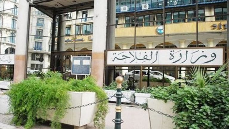 تدابير استعجالية لتحقيق الاكتفاء الذاتي والأمن الغذائي