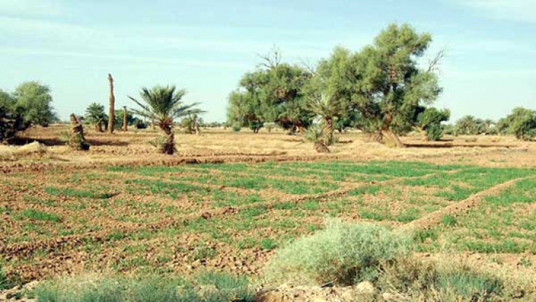 تأمين أخطار المناخ والضمان الاجتماعي