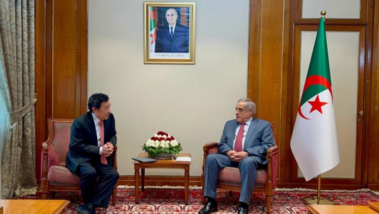 أداء استثنائي لقطاع الفلاحة بفضل إصلاحات الرئيس تبون