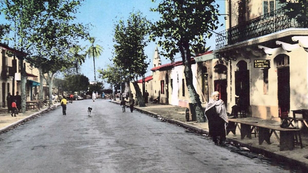 مدينة الاخضرية