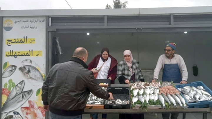 عودة "السردين" إلى الأسواق بعد تحسن الطقس