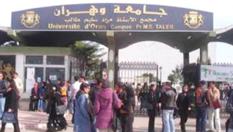 تخصصات جديدة تتوافق ومتطلبات سوق العمل