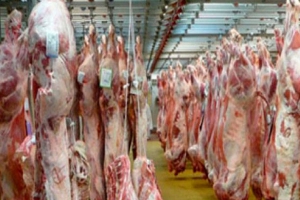 اللحوم المستوردة تخضع لإجراءات مراقبة جد دقيقة وعالمية