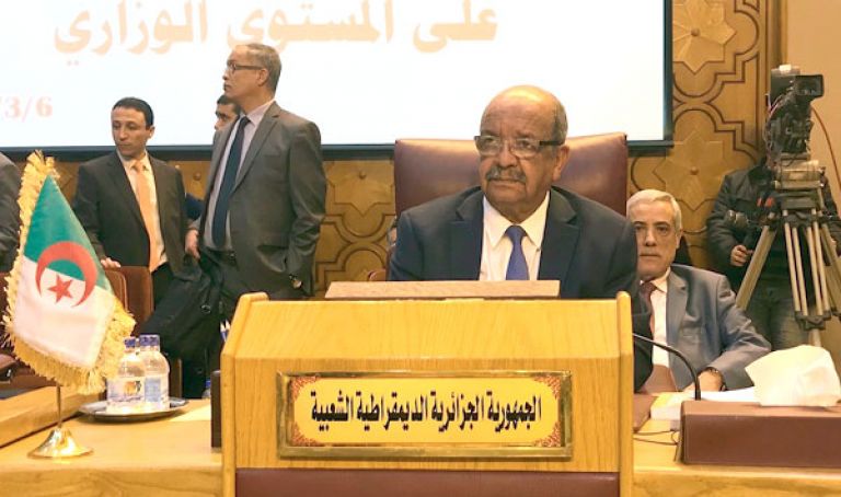 مساهل يبرز الضمانات الدستورية للحق في التعبير