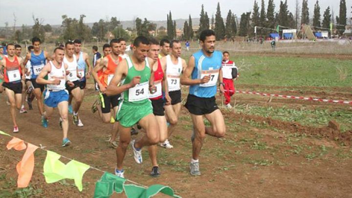 الشريعة تحتضن سباق الأبطال