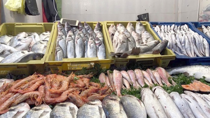 فتح 14 نقطة لبيع السمك في رمضان بالعاصمة