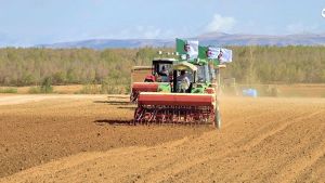 تيارت تستكمل كل التحضيرات