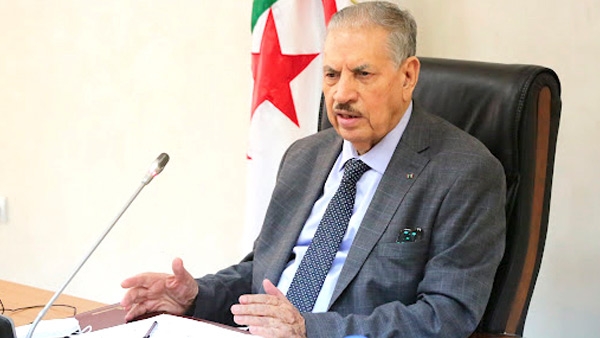 قوجيل يهنئ أبطال الجزائر