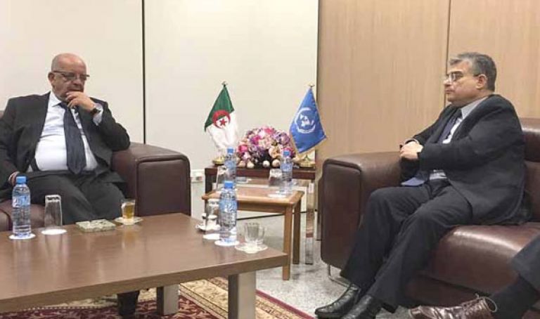 إشادة بتقدم الجزائر في ترقية المساواة بين الجنسين